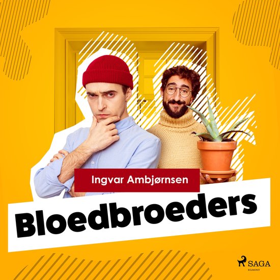 Bloedbroeders - cover