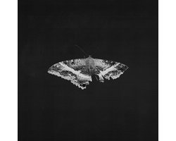 Kendrick Lamar - To Pimp A Butterfly (LP)