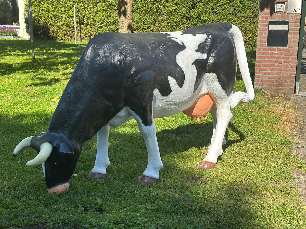 Goodyz - Boerderij dieren - Boerderij - Koe- Grazende koe- Zwart/witte koe - Levensgroot -
