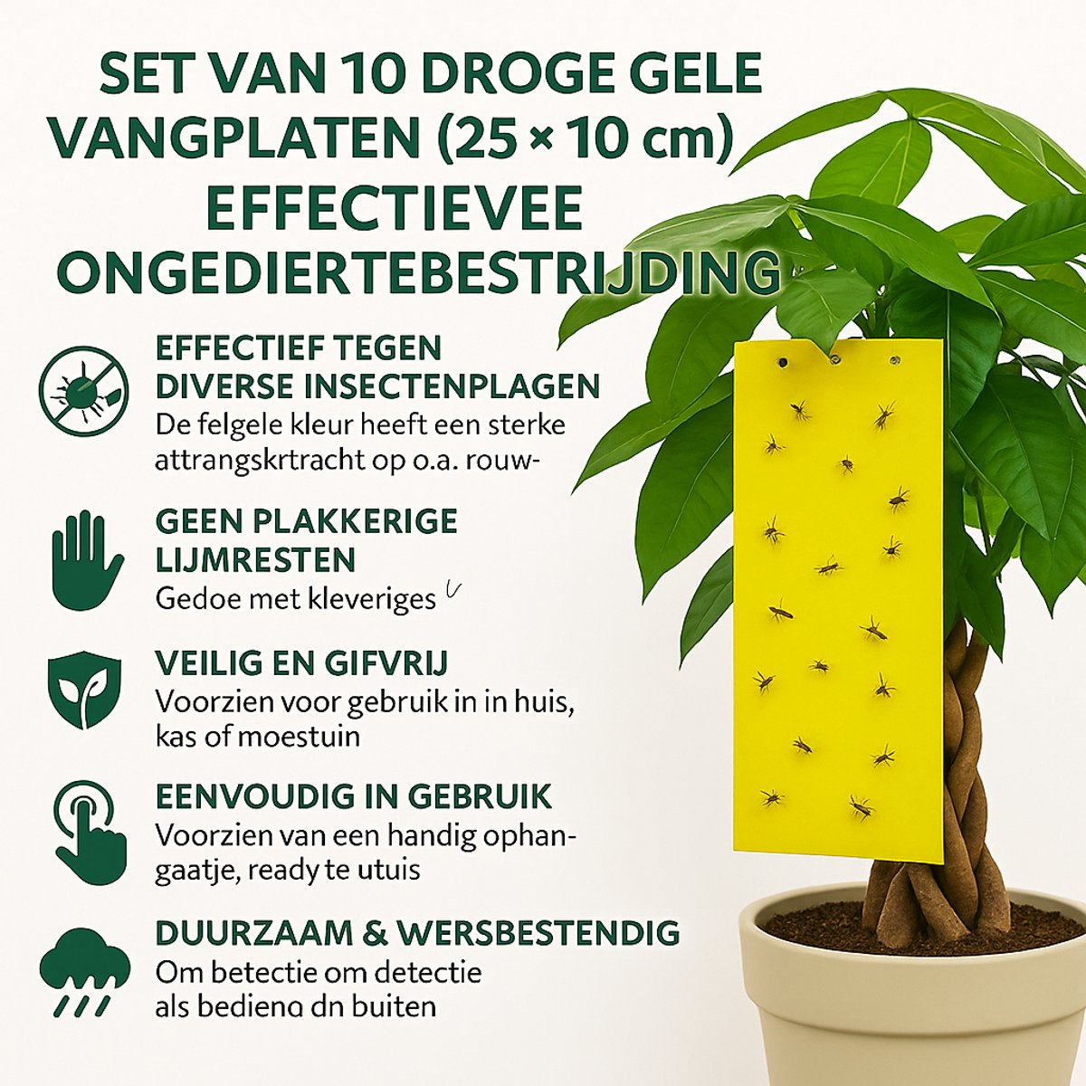 Ferrarium gele vangplaten 10x25cm 10 stuks - gele vangplaat tegen insecten - ongedierteval - monitor vlieginsecten - rouwvliegjes bestrijding - fruitvliegjes vangplaat - varenrouwmug bestrijden - witte vlieg bestrijden - vliegenvanger