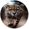 Cheeta, Hyperrealisme, Sprint, Oranje, zwart, wit, bruin, blauw
