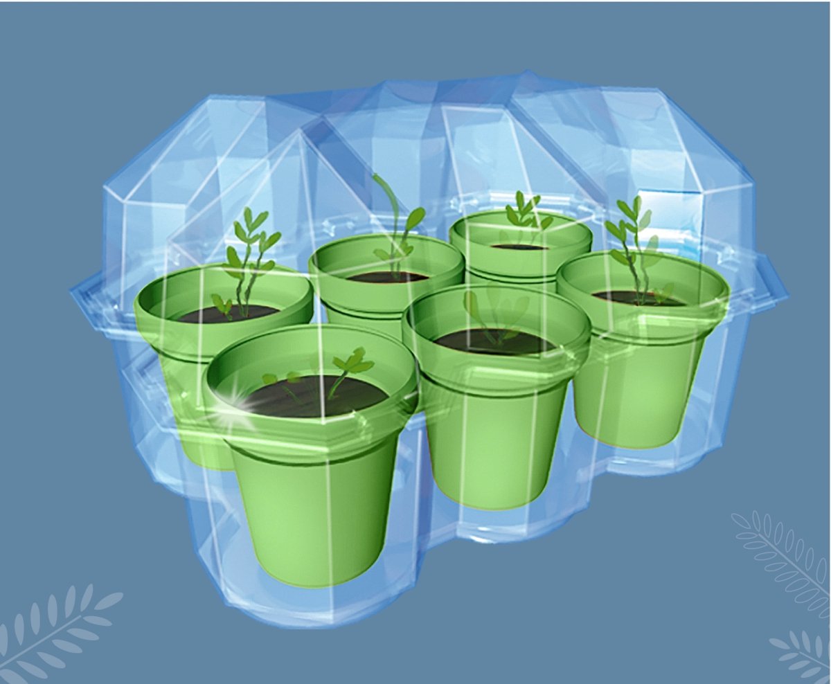 KOSMOS Mimosa Garden - Experimenteerset - Kweek Je Eigen Gevoelige Mimosa Planten - Mini Kas Inclusief Zaden - Ontdek Hoe Planten Reageren op Aanraking - STEM Speelgoed - Vanaf 6 Jaar — cadeau in Spellen & Speelgoed - foto 3