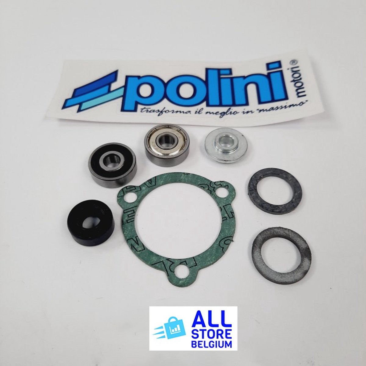 Polini waterpomp revisie set