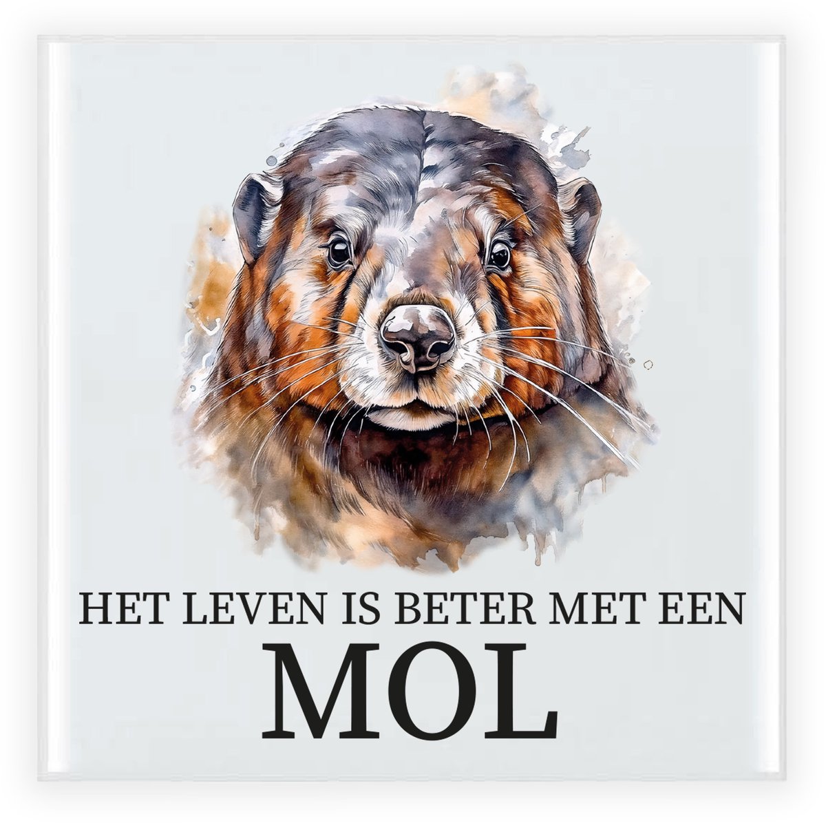 Bellatio Decorations Cadeau tegel voor de familie Mol - het leven is beter met een Mol - waterverf - 15 cm Zwart