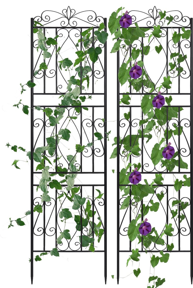 unho Metalen Tuin Trellis - 2 Pack Potten Wijnstokken Groenten Bloemen Patio Metalen Rooster Panelen - Plant Stands - 182cm x 50cm