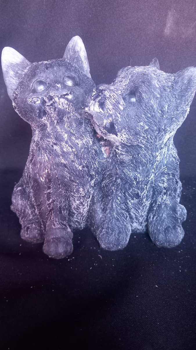 starwolf, beeld, liefkozend hondje en katje, zwart, geschenk, decoratie