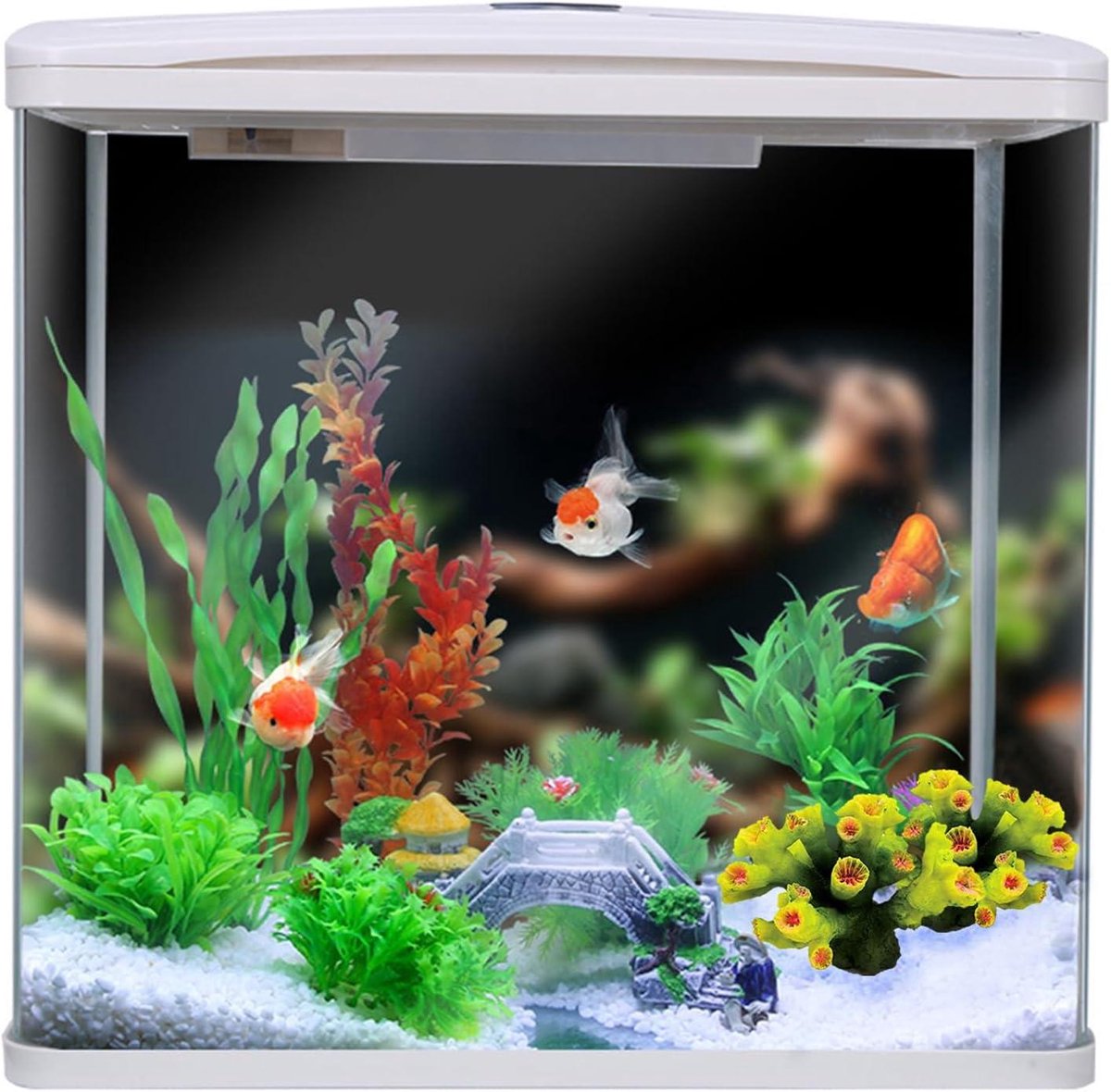Aquariums ferplast - Aquariumplanten kopen