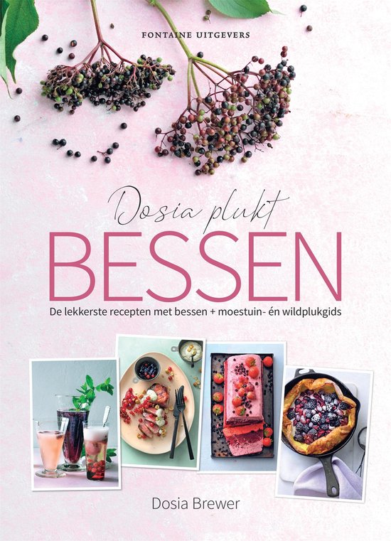 Dosia plukt bessen - cover