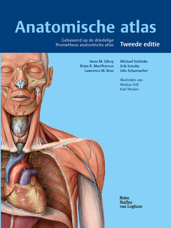 Anatomische atlas - anatomie boek voor fysiotherapie en