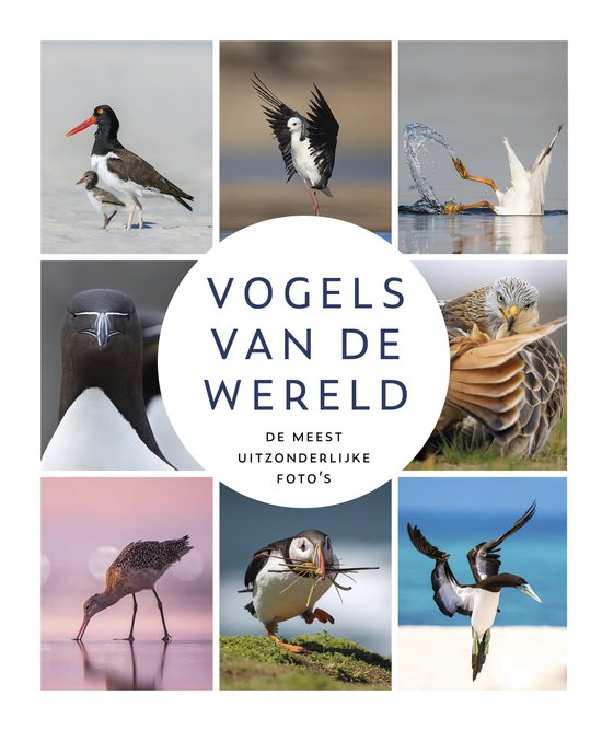 Vogels van de wereld - cover