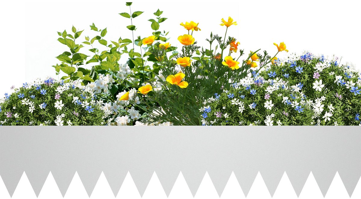 Aufun Gegalvaniseerde gazonrand – Flexibele gazonrand – 200 mm hoog – Stalen tuinrand – Bloemperkrand, tuinbestratingrand – 10 stuks, 10 m – Gegalvaniseerd
