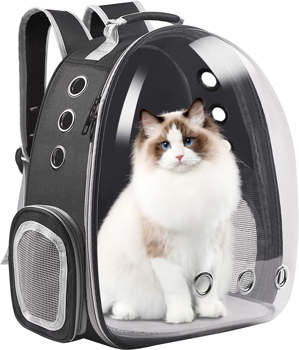 Ibenzoa® Robuuste Draagzak voor Katten en Kleine Huisdieren, Zwart, 35x25x45cm