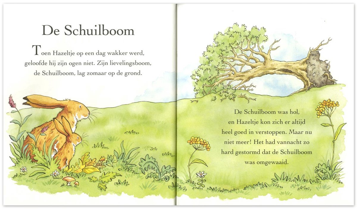 Raad eens hoeveel ik van je hou altijd en overal — cadeau in Boeken - foto 4