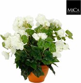 Kunstplant Begonia Wit - H 37cm - Terracotta sierpot - Mica Decorations