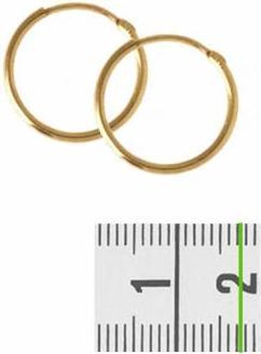 Gouden oorbellen 4018324