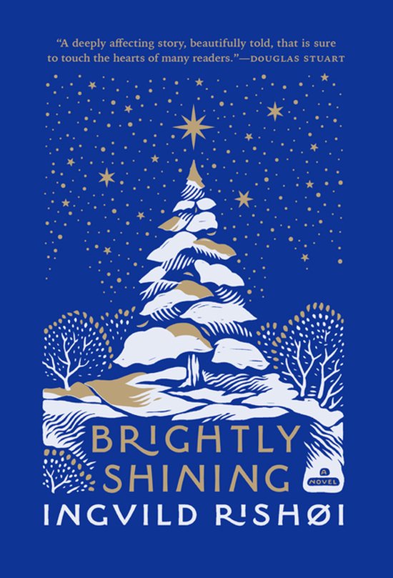 Boekcover met een kerstboom bedekt met sneeuw op een blauwe achtergrond met gouden sterren.
