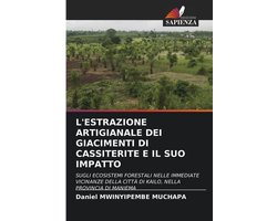 L'Estrazione Artigianale Dei Giacimenti Di Cassiterite E Il Suo Impatto