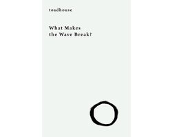 What Makes the Wave Break?