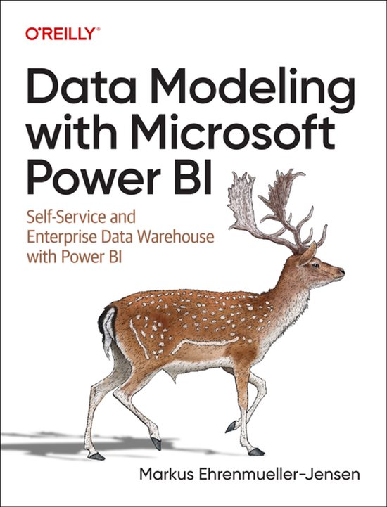 Data Modeling With Microsoft Power Bi - cover