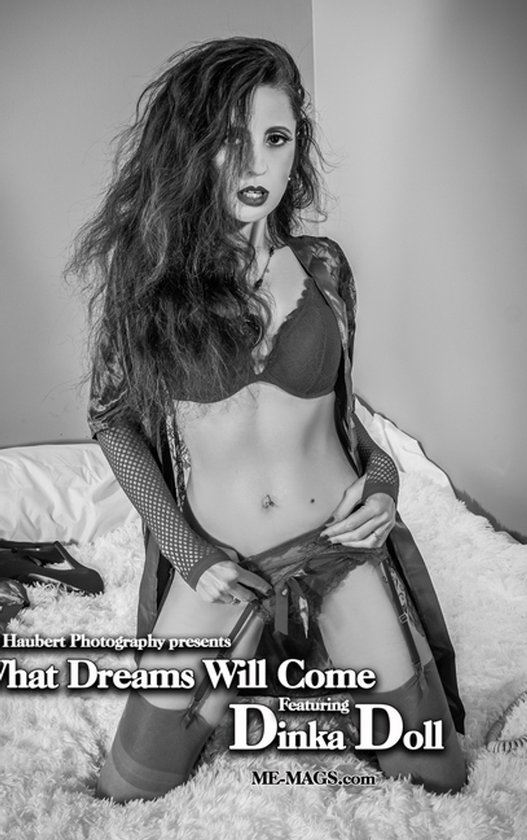 What Dreams Will Come - cover