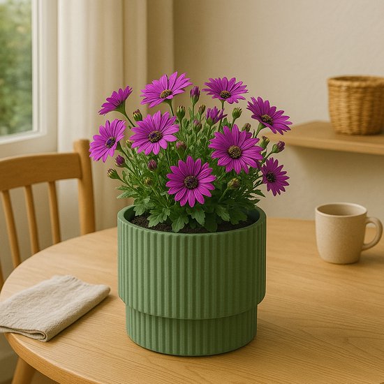 Pot Milly No Brand d30cm vert - Plastique