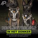 Twee donkere honden met zwart Always Prepared tuig, reflecterend in het donker.