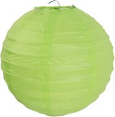 Santex Groene lampion M - 2 stuks - OP = OP