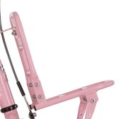 Alpina Alp v drager 16 Cargo light pink met matt