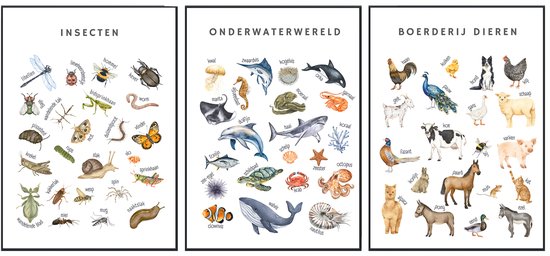 No Filter - Posters éducatifs - 3 pièces - 21x30 cm - Format A4 - Posters chambre enfant - Poster Animaux de la ferme - Poster insectes - Poster Animaux aquatiques