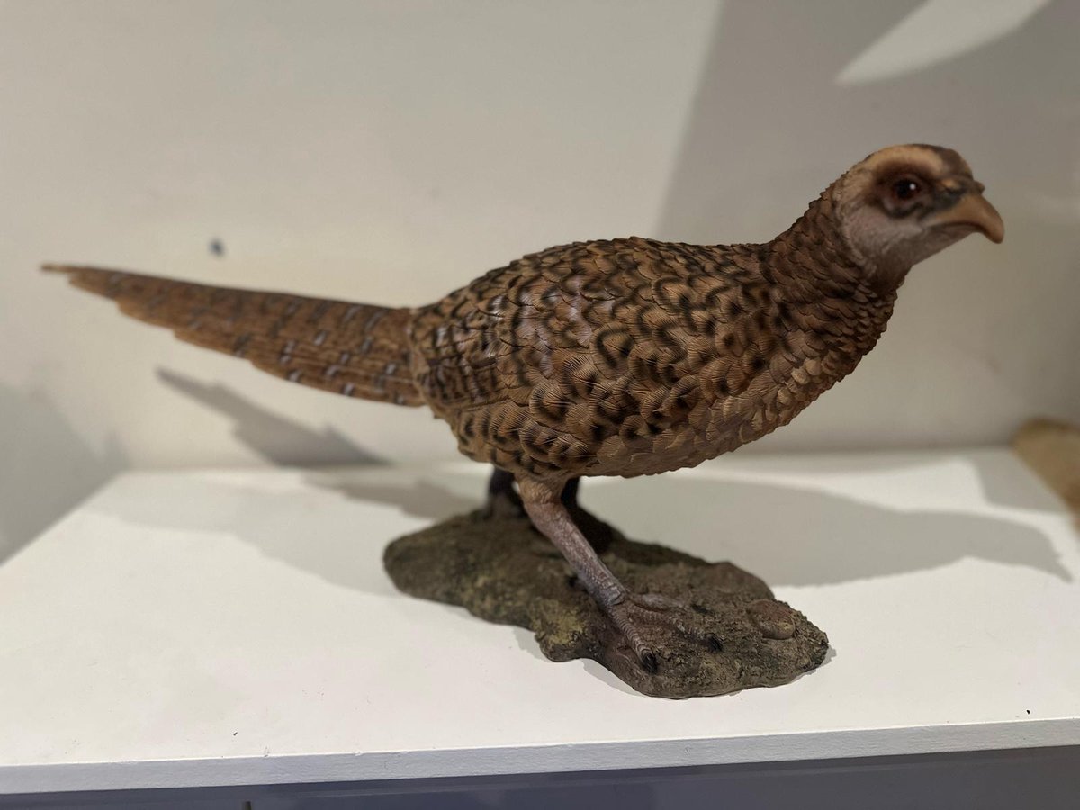 Goodyz- Wilde dieren- Vogels - Fazanten - Fazant - staand - orginele kleuren