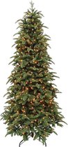 Triumph Tree Abies Nordmann kerstboom - Groen - 496 LED lampjes - 215 x 124 cm