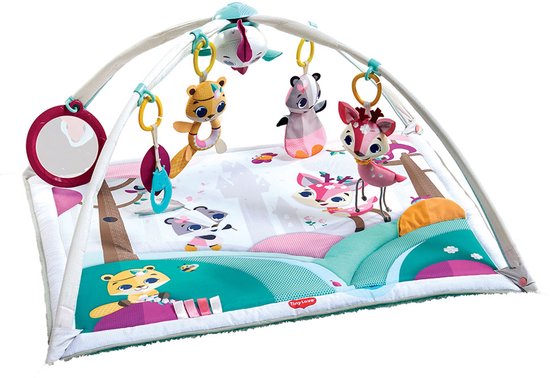 Tiny Love Babygym Gymini Deluxe