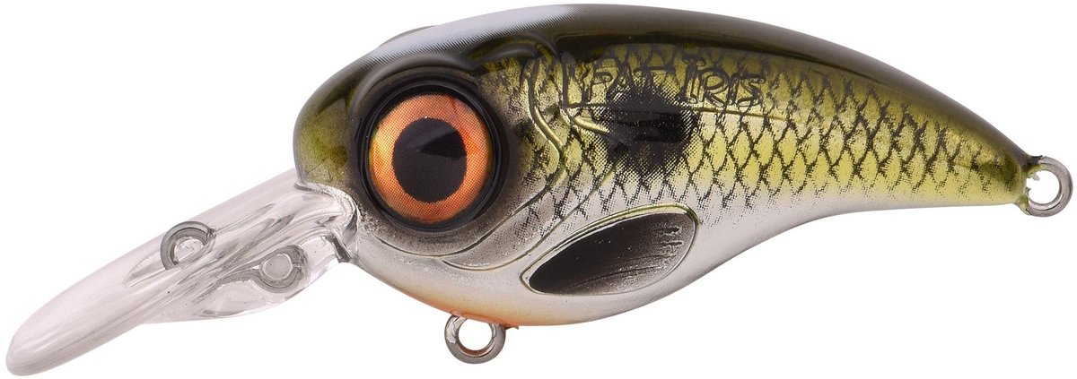 Spro Fat Iris 60 Crankbait 6 cm 18 gr Shad