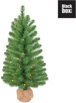 Black Box kunstkerstboom led met jute op batterij roundstone fir maat in cm: 60 x 33 groen 30 lampjes met warmwit led - GROEN