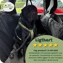 Zwarte Labrador met groen tuigje in de auto.