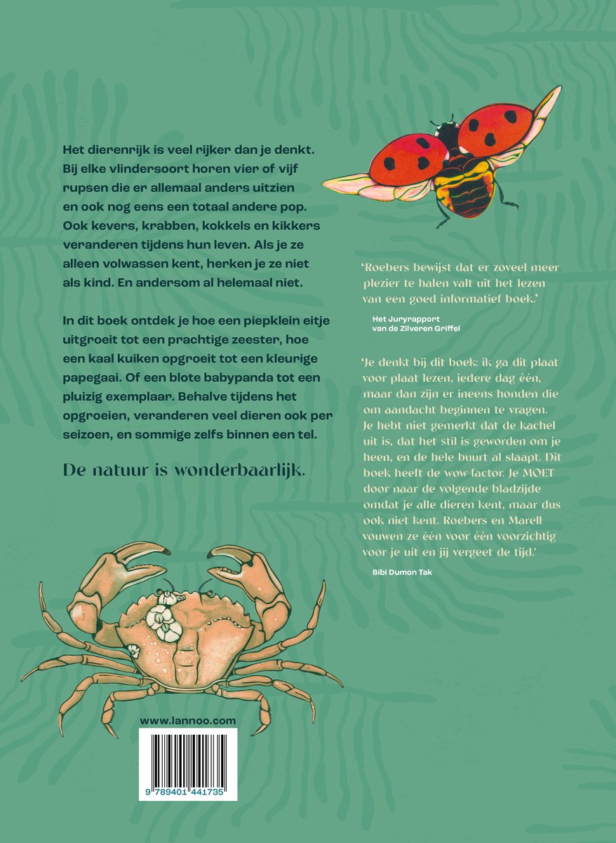 Metamorfose - back cover