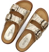 Slippers Notre-V As-14231 - Femme - Goud - Pointure 40