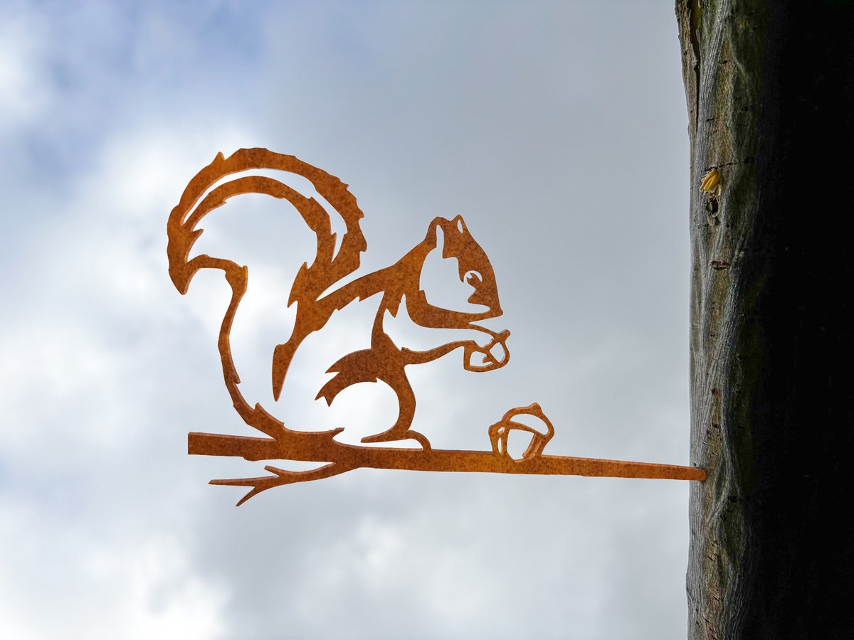 Steelhouet Eekhoorn Tuindecoratie – Metaal Silhouet voor Boom of Schutting – Cortenstaal – Cadeau voor Tuinliefhebber – Lokale Productie - Steelhouet