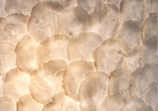 Lampe de table Full Shell Ball Ø 30 cm Culot E14