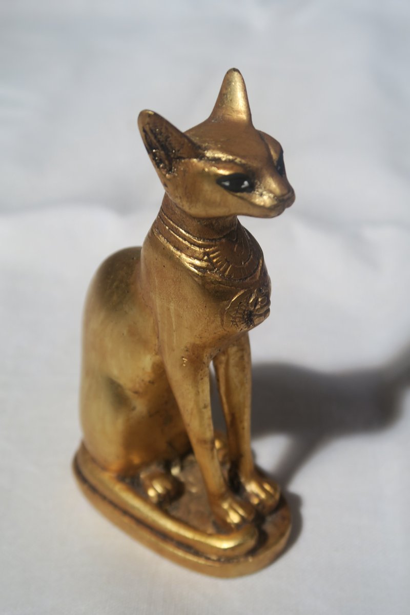 Egyptische kat - klein
