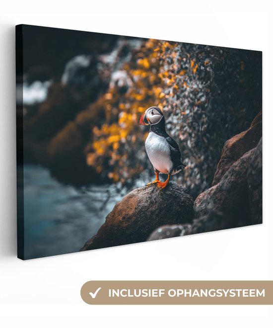 Tableau sur toile 120x80 cm - Décoration murale exclusive Perroquet - Vogel - Rocher - Wit - Décoration murale murale salon - Décoration chambre - Accessoires de décoration - Peintures sur toile