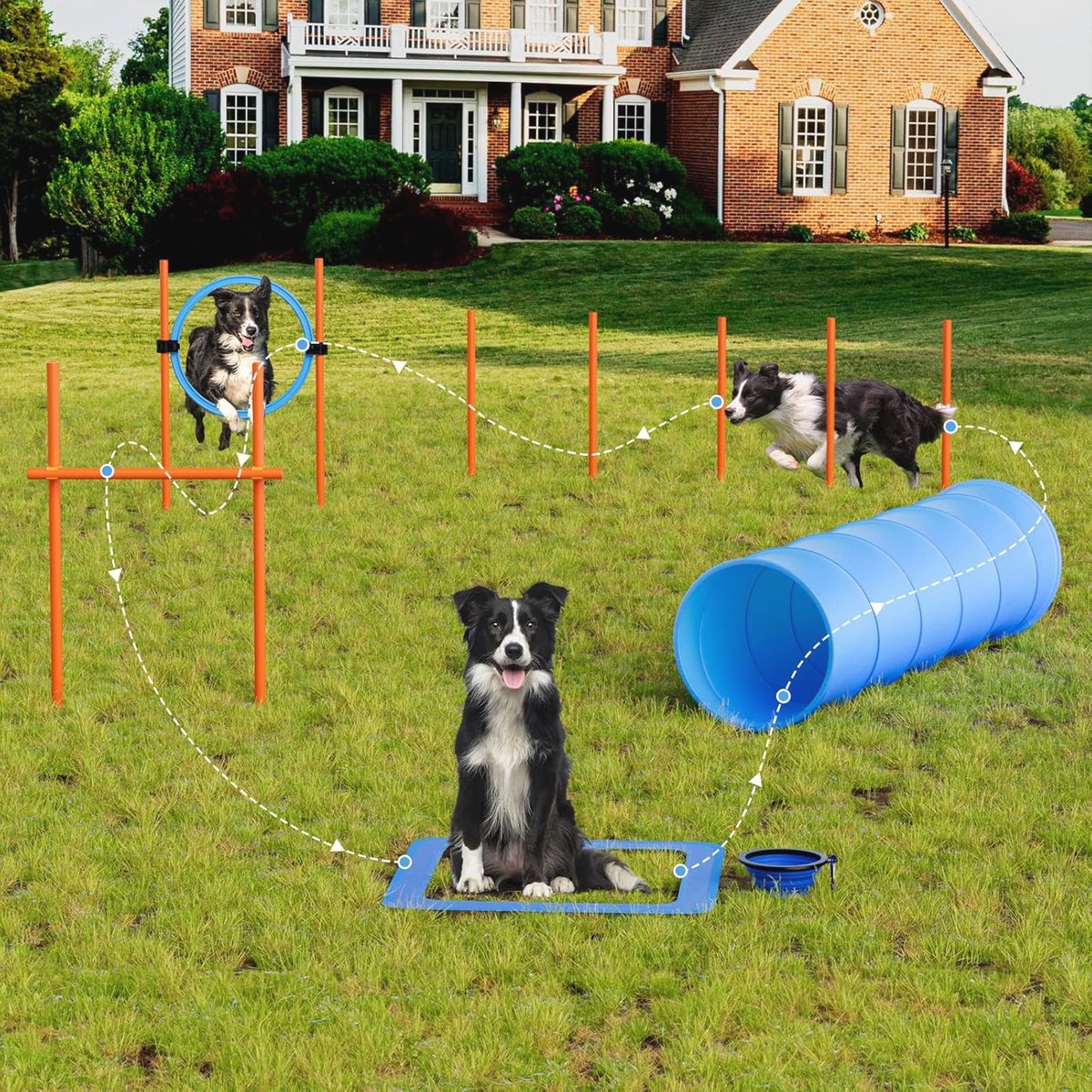 X XBEN Agility Set für Hunde, 5-teiliges Set Agility-Ausrüstung für