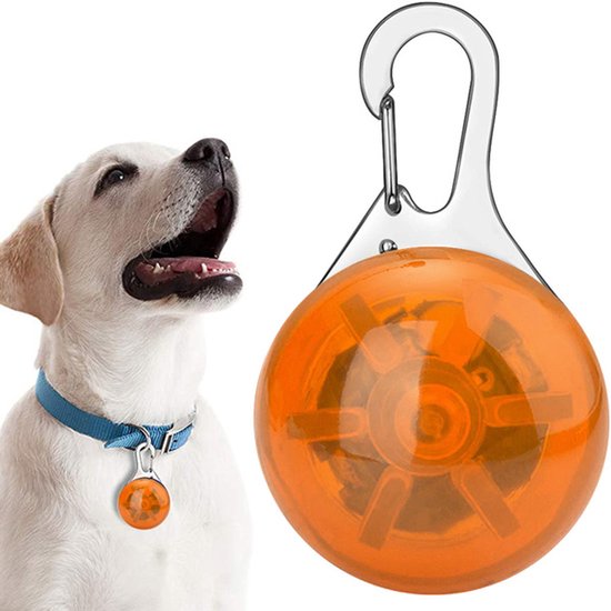 Foto: Veiligheidslamp voor hond i led honden cadellight i dierenlampje i lampje hondenhalsband i oranje