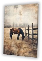 Cheval broutant dans la nature - Portrait de cheval - Œuvre d'art animalier - Mouvement artistique réaliste - Décoration murale pour chambre d'enfant - Art mural - Toile 100x150 cm