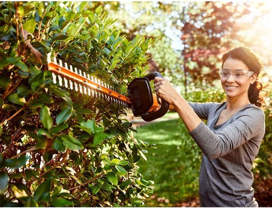 Parkside Heggetimmer Phsa 20li 20 V Snijlengte 52 Cm Lichtgewicht Constructie