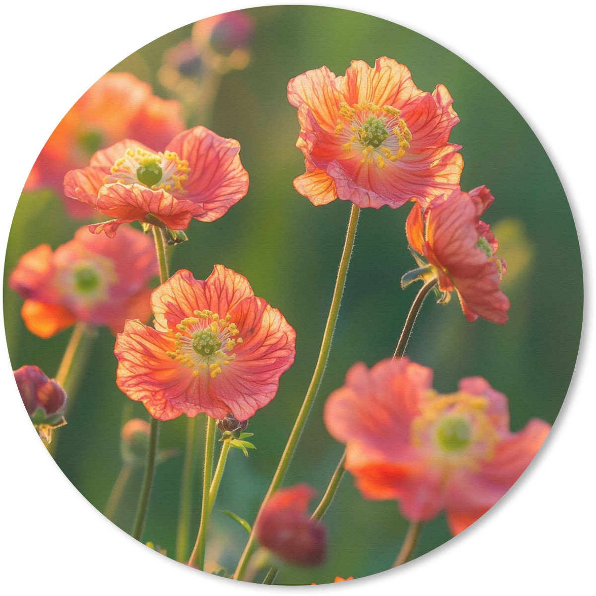 Muismat rond 40x40 cm - Mousepad Bloemenveld - Zonnestralen - Oranje - Ronde muismatten