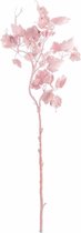 Riverdale Druiventak roze 76cm