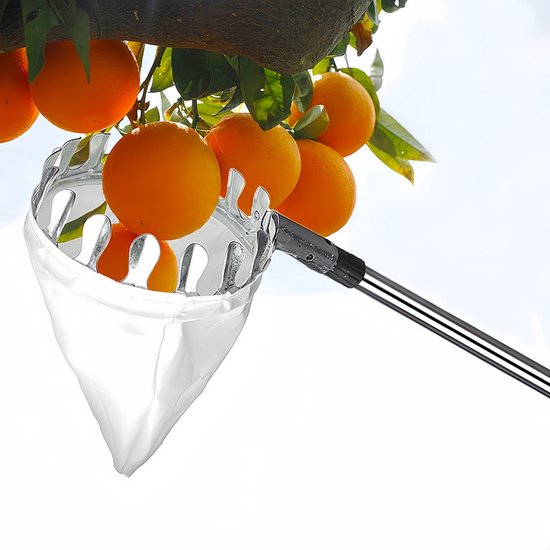 Fruitplukker met telescopische steel - Fruitplukker van 2 m - Montage in 5 delen - Gereedschap voor het plukken van kersenfruit - Met lichte, verstelbare steel en opbergzak voor fruit - Voor het plukken van peren, citroenen en sinaasappels van Merkloos	 — afbeelding 4