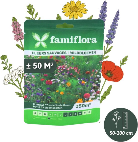 Famiflora wildbloemenmengsel voor bloemenweide tot 50m² - 37 verschillende bloemsoorten - Bloemenweide zaad - Wildbloemen zaad - Wilde bloemenzaad