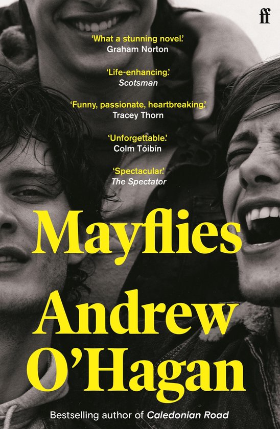 Mayflies - cover
